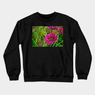 Pink Cape Daisy Flower Crewneck Sweatshirt